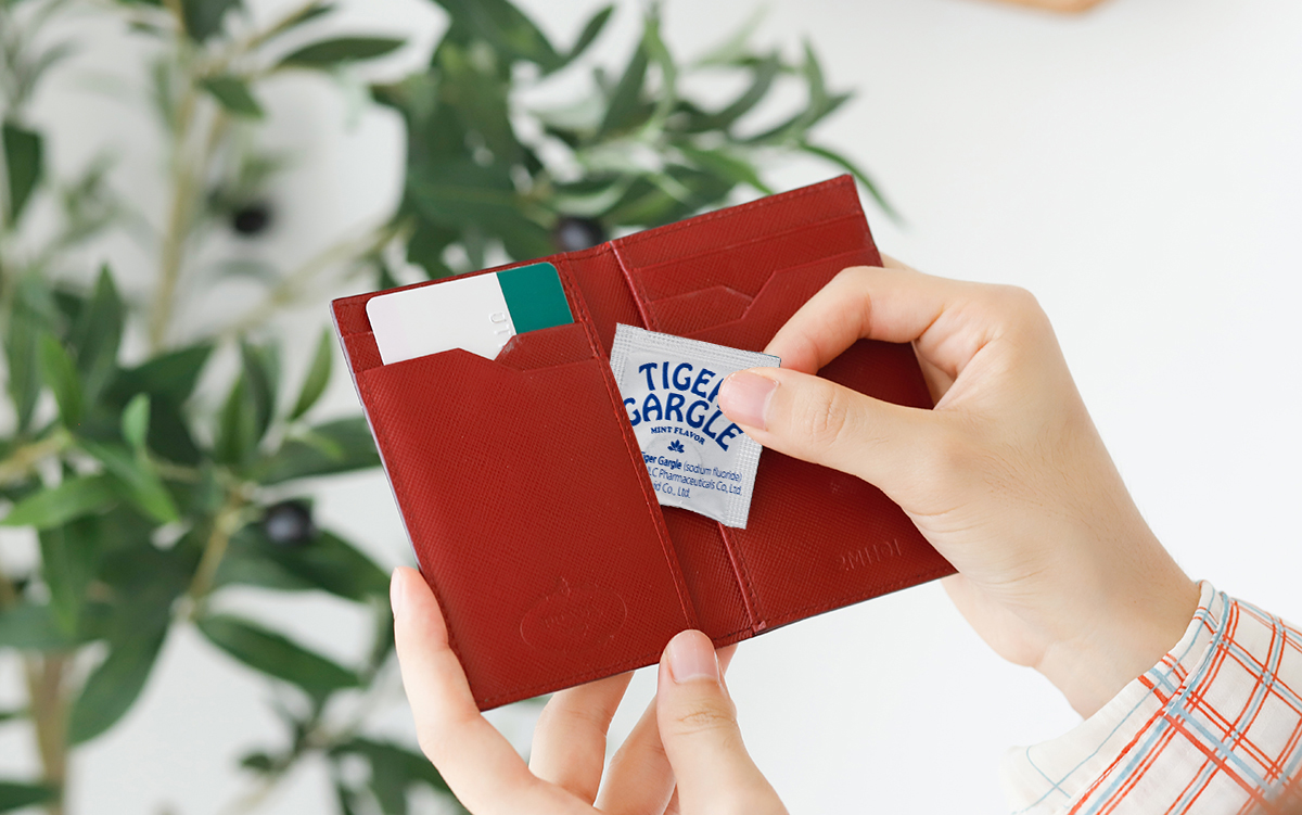 타이거가글 세트(민트/ 10팩 (18정 / 1팩)